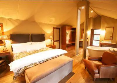 Flame of Africa | Buffalo Camp