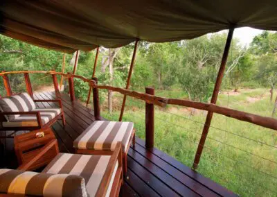 Flame of Africa | Buffalo Camp