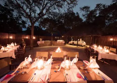 Flame of Africa | Buffalo Camp