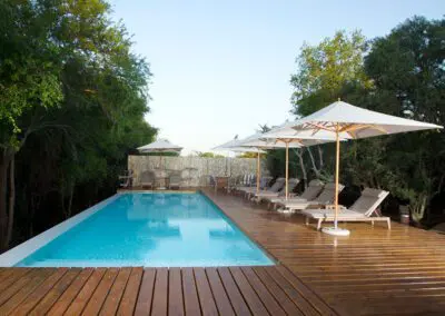 Flame of Africa | Buffalo Camp