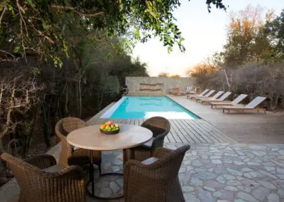 Flame of Africa | Buffalo Camp