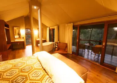 Flame of Africa | Buffalo Camp