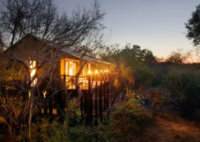 Flame of Africa | Buffalo Camp