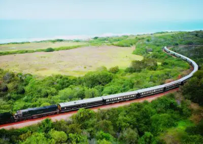 Rovos Rail | Flame of Africa