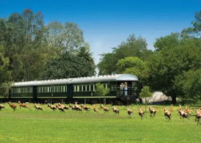 Rovos Rail Victoria Falls | Flame of Africa