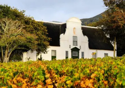 Groot Constantia Wine Estate | Activities at Flame of Africa