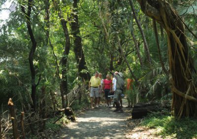 Tour-of-the-falls-Flame of Africa