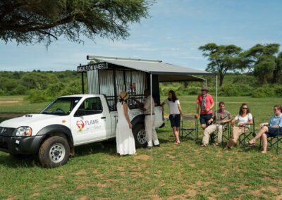 Chobe-Chow-(7)-copy Flame of Africa