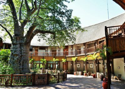 Mowana Safari Lodge Flame of Africa