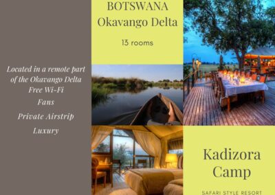 Flame of Africa | African Essence Falls, Chobe, Khwai & Delta