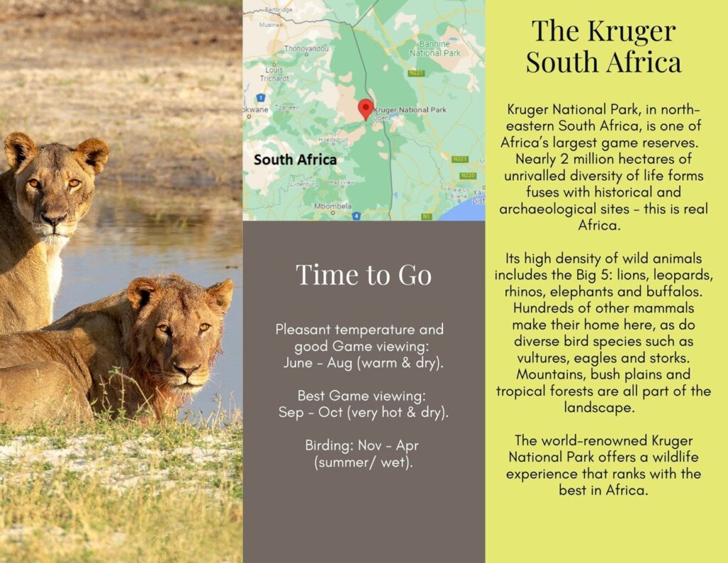 Flame of Africa | The Full Experience Jhb, Kruger, Chobe, Delta & Kalahari