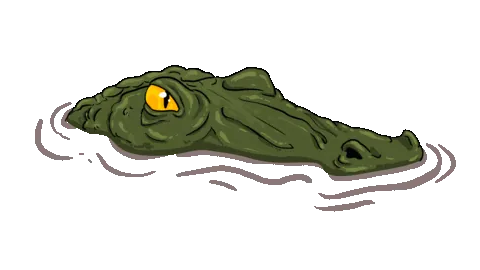 crocodile-converted Crocodile