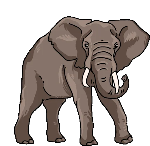 elephant-african-elephant-converted African Elephant