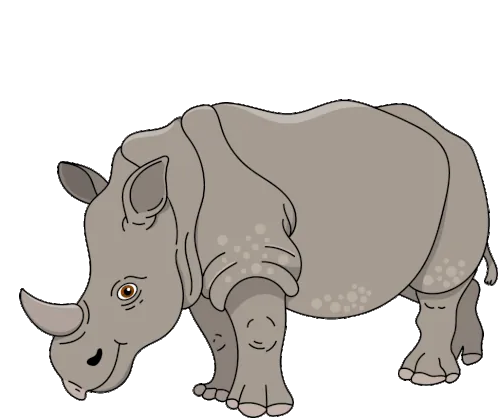rhinoceros rhinoceros