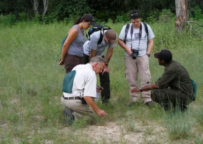 Flame of Africa | Activities | Rhino Walk
