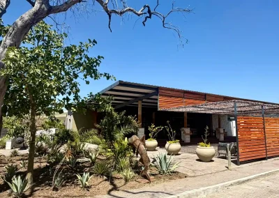 Flame of Africa | Sandpiper River Lodge