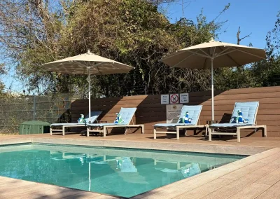 Flame of Africa | Sandpiper River Lodge